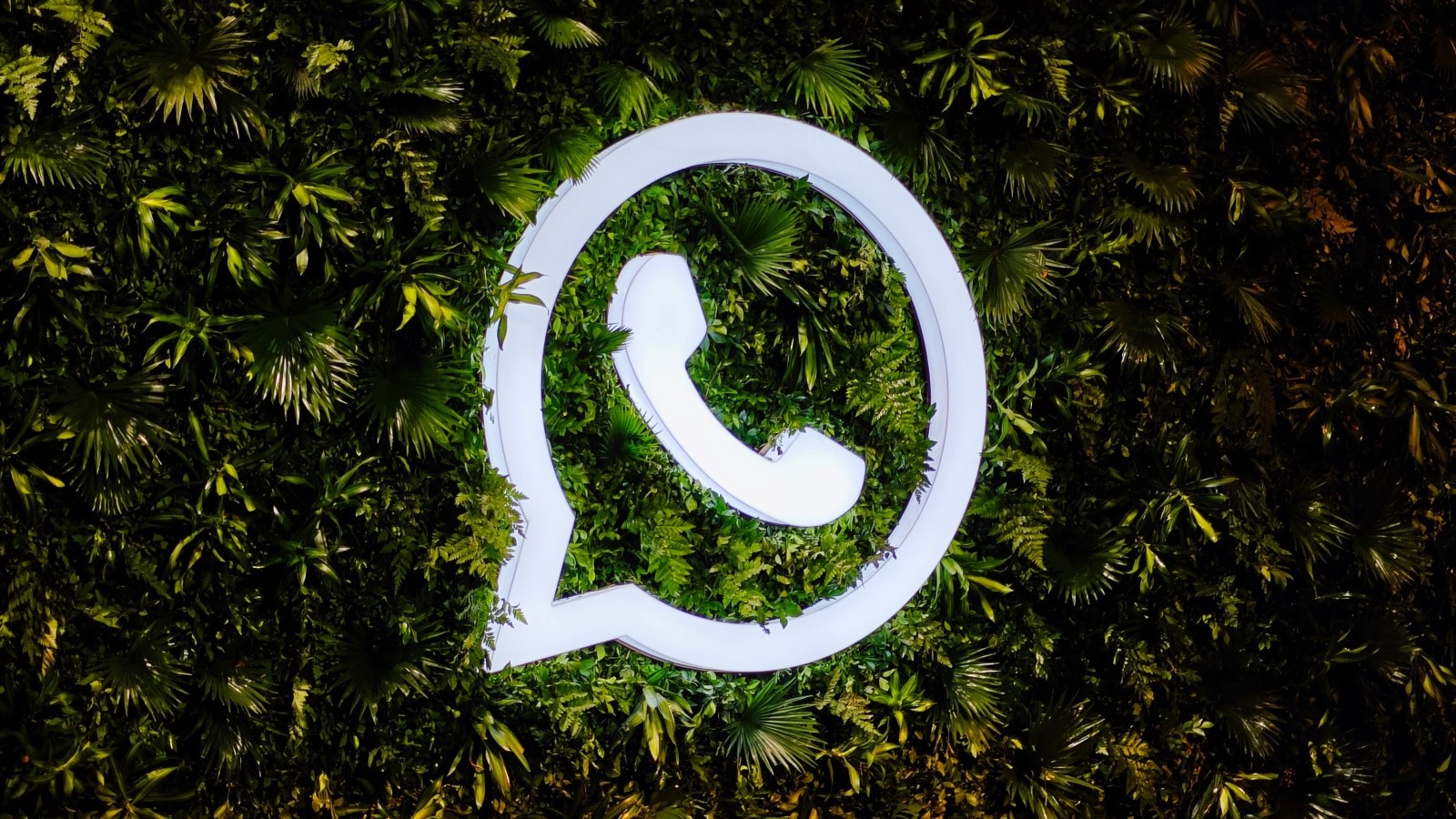 <b>在伊朗无法使用WhatsApp？3种有效方法助您解锁</b>