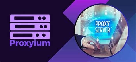 Proxyium网页界面截图