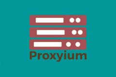 Proxyium深度分析报告 功能、使用与安全评估全面解析