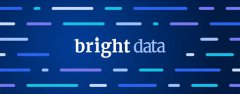 Bright Data SERP API 价格分析报告