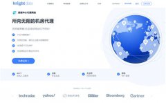 Bright Data住宅代理定价模型深度分析报告