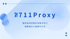 922Proxy住宅代理服务深度分析报告