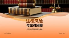 2025年代理服务生态系统深度分析报告