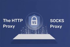 HTTP与SOCKS代理技术深度分析报告